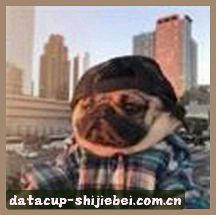 刘洋